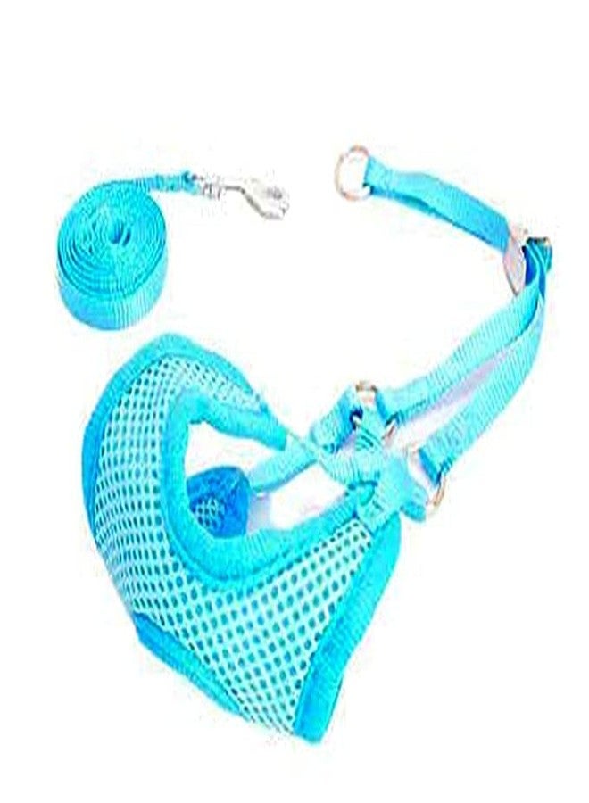 Pups&Pets Puppy Harness and Leash Set - Adjustable Soft Mesh Comfort Fit Harness No Pull No Choke - Blue - Image 1